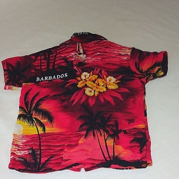 Child's Hawaiian Shirt Barbados size 2 toddler - Picture 5 of 6